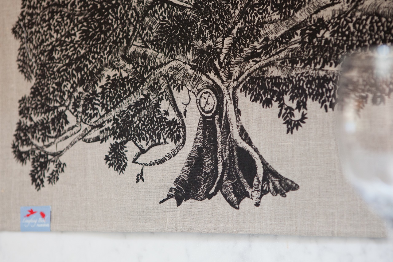Moreton Bay Fig Tree