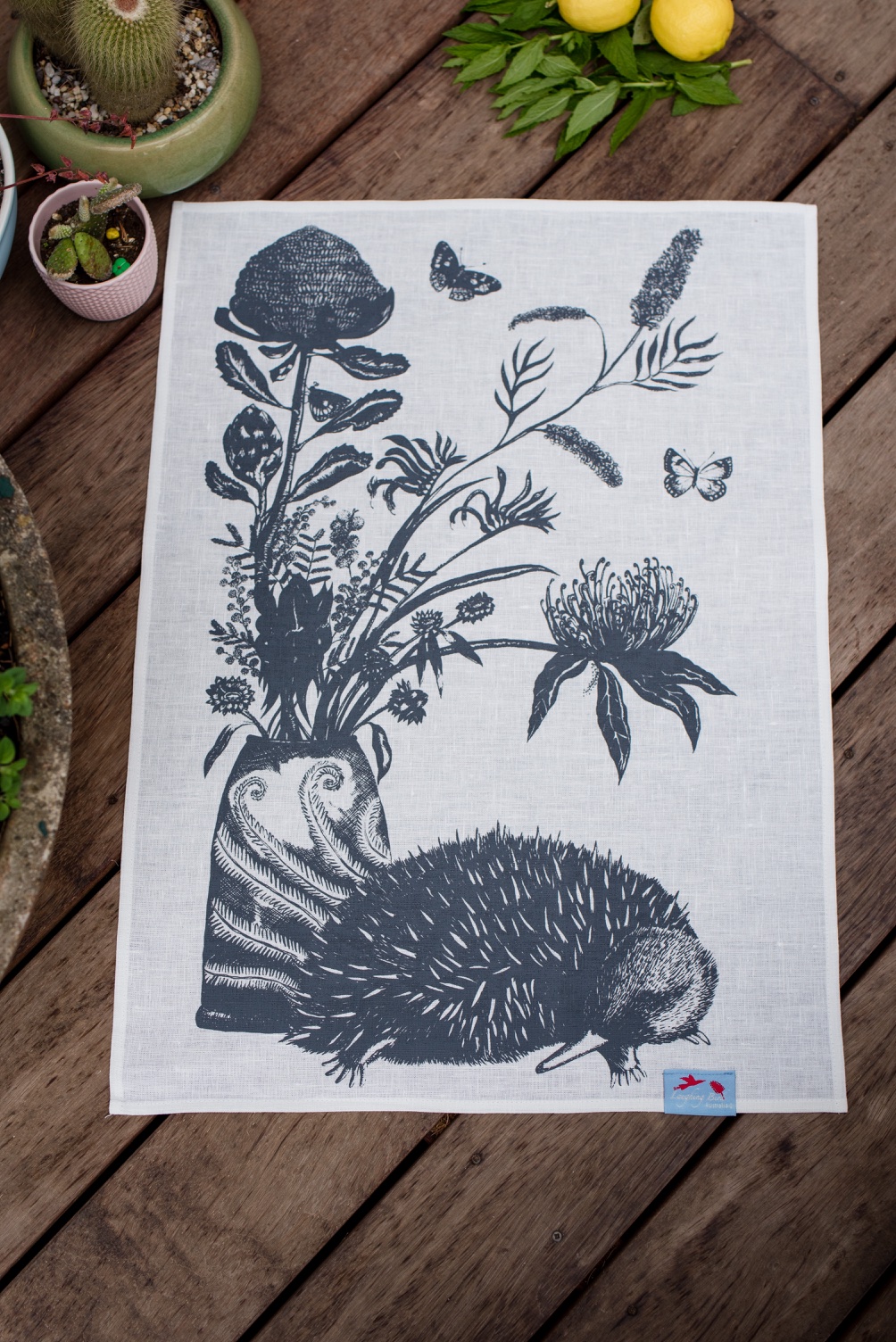 Echidna Botanica