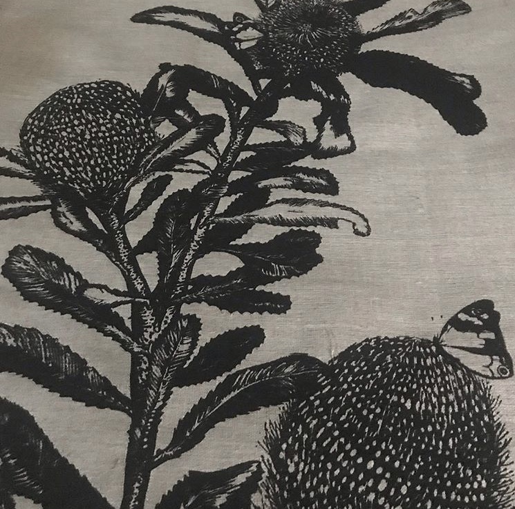 Banksia Serrata and Summer Butterfly