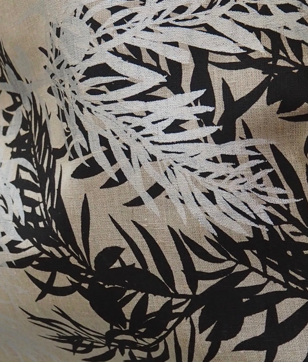 Hakea Silhouette