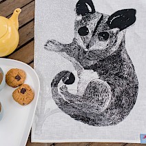 Feasting Sugar Glider