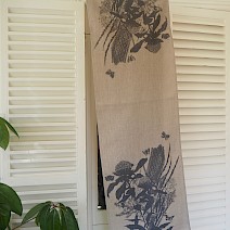 Front Garden Natives and Moths