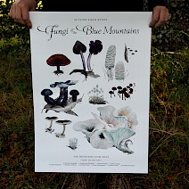 Autumn Fungi Field Study .A