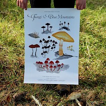 Winter Fungi Field Study .C