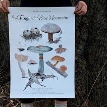 Winter Fungi Field Study .D